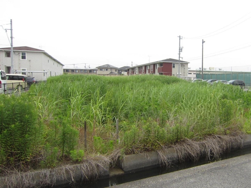岡山県倉敷市片島町